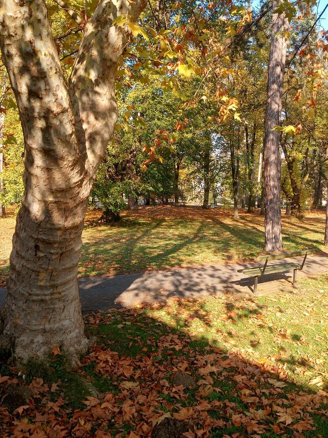 S' Centro - Park Apartments Kraljevo Dış mekan fotoğraf